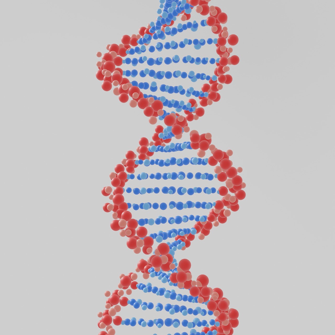 réplication de l'ADN